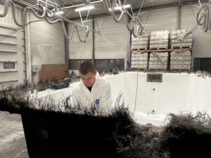 D3_5 5B-USINAGE IMG_0737